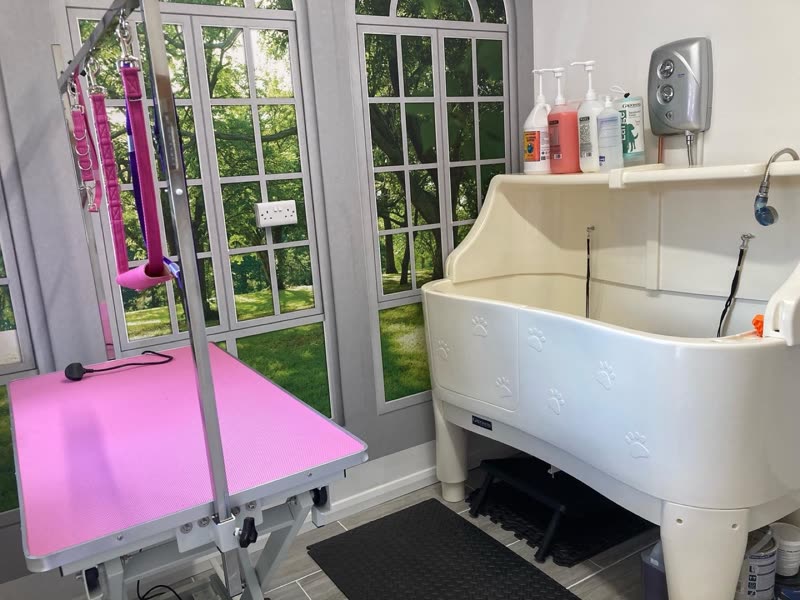 The grooming room at Mutt n Chops, with a pink hydraulic table by French doors onto the garden and a cream walk-in dog bath alongside